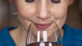 God save The Wine: 20 grandi cantine con i loro vini