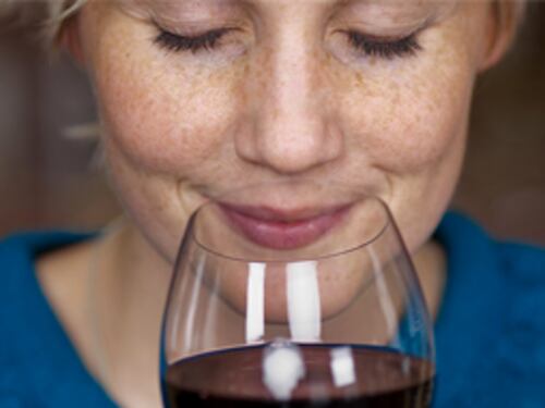God save The Wine: 20 grandi cantine con i loro vini