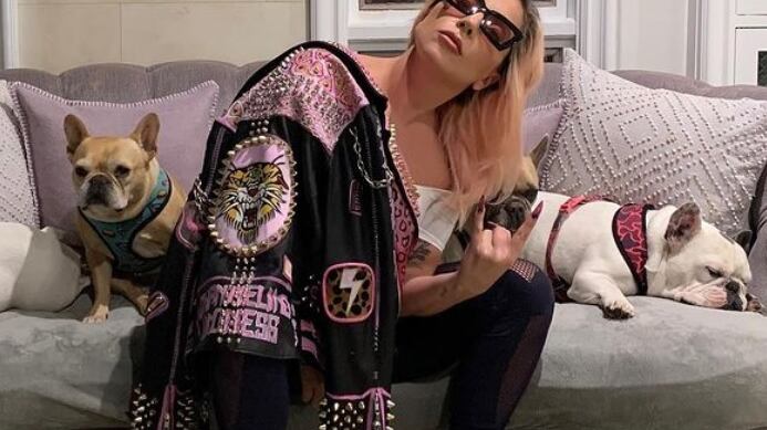 Ritrovati i due bulldog rapiti a Los Angeles Il pianto di Lady Gaga e il giallo del riscatto