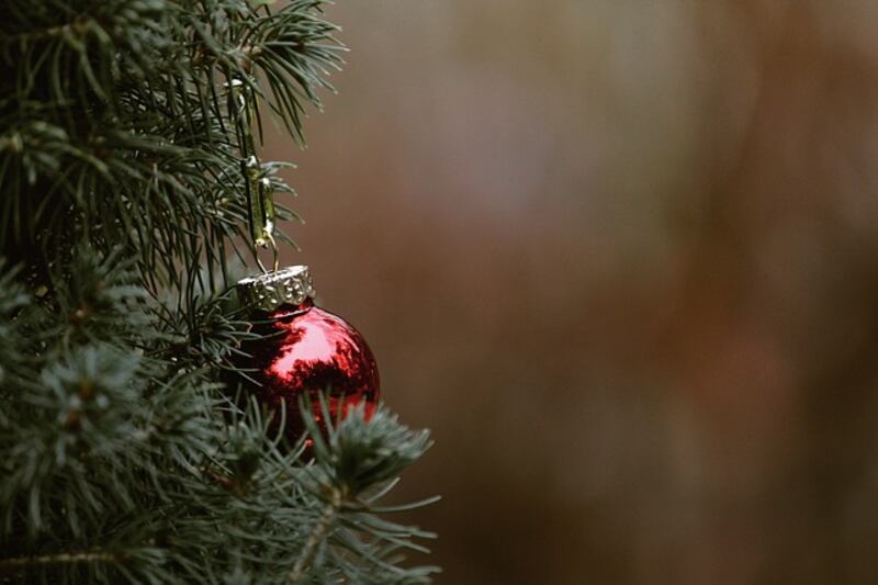 Abete rosso