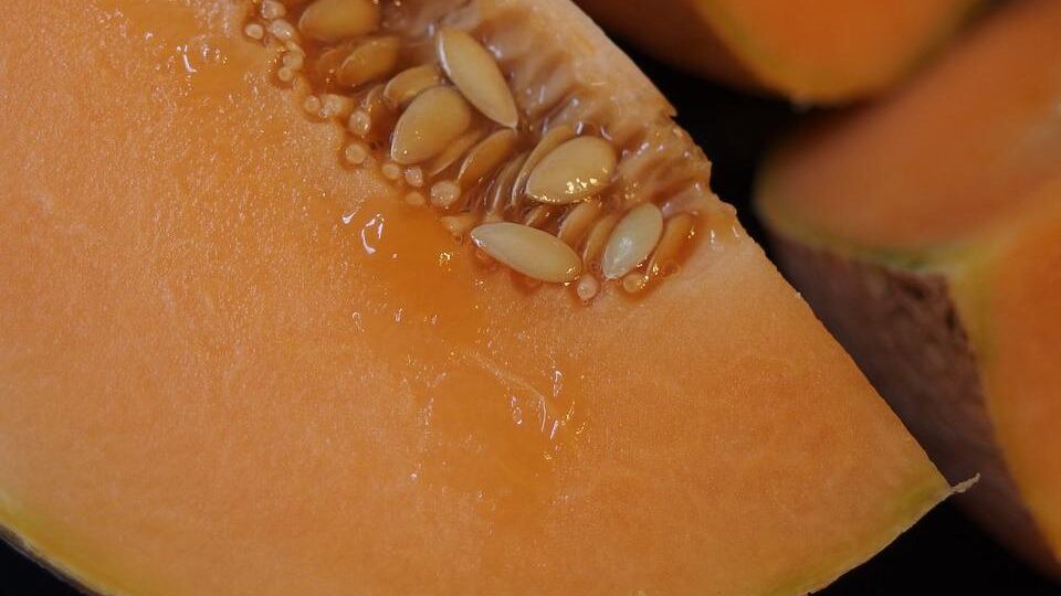 Melone Cantalupo: frutto estivo dalle tante proprietà benefiche
