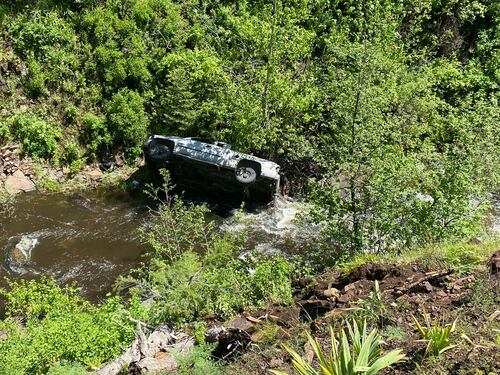 Uomo finisce nel burrone con l'auto: il suo cane percorre 6 km e allerta i soccorsi salvandogli la vita