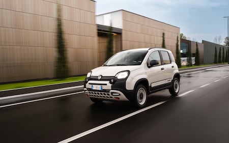Fiat Panda 4x40° Limited Edition, guarda tutte le immagini 2