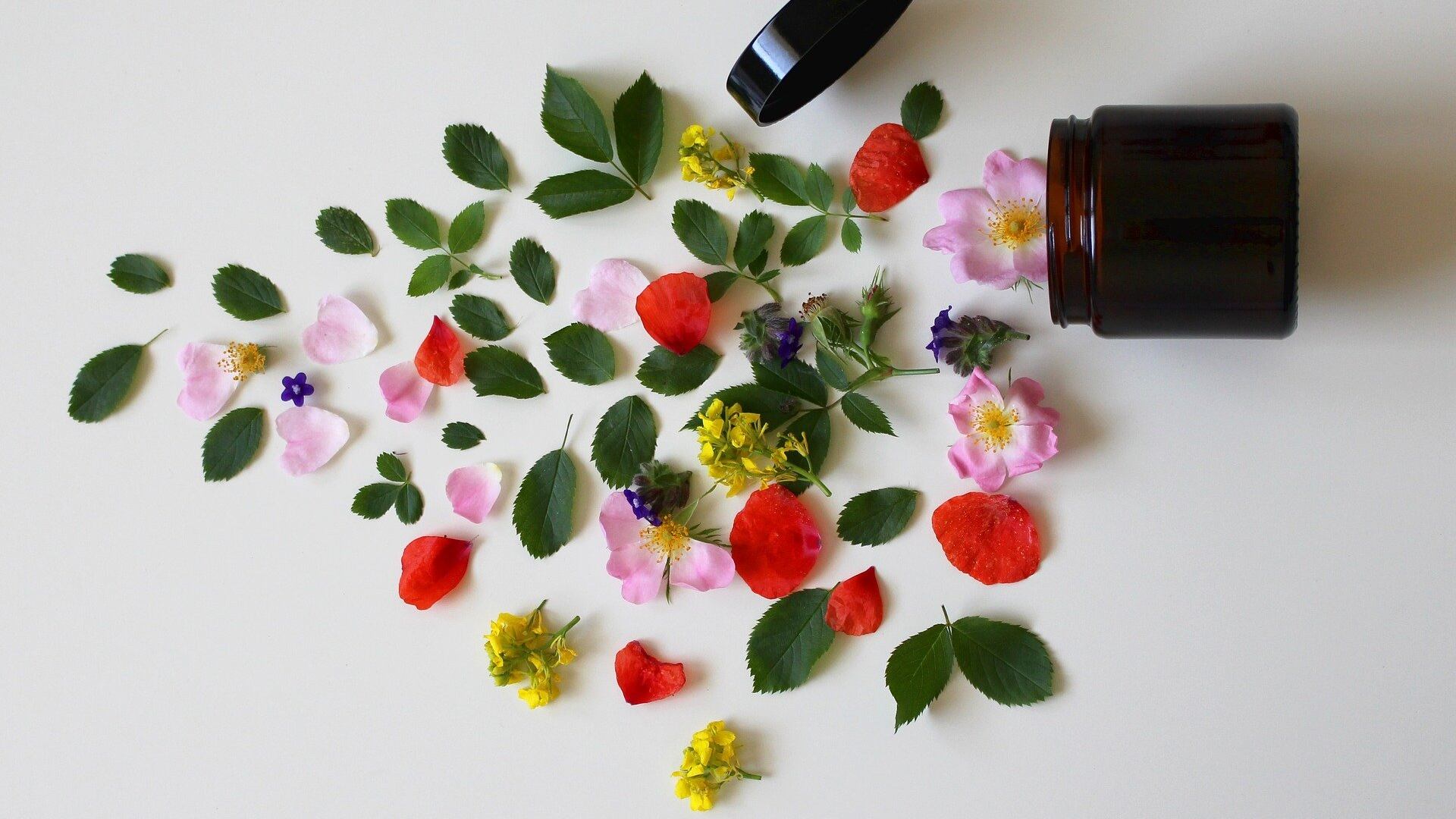 In Masseria si studia la cosmesi "green". Grazie a una ricercatrice in statistica