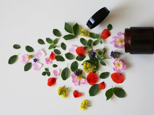In Masseria si studia la cosmesi "green". Grazie a una ricercatrice in statistica