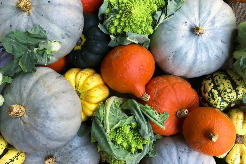 Primizie di ottobre