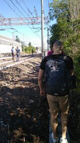 Milano, panico tra i pendolari: "fumo sul treno". A piedi sui binari 6