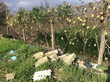 Nella Terra dei fuochi, tra le discariche a cielo aperto mai sparite 4
