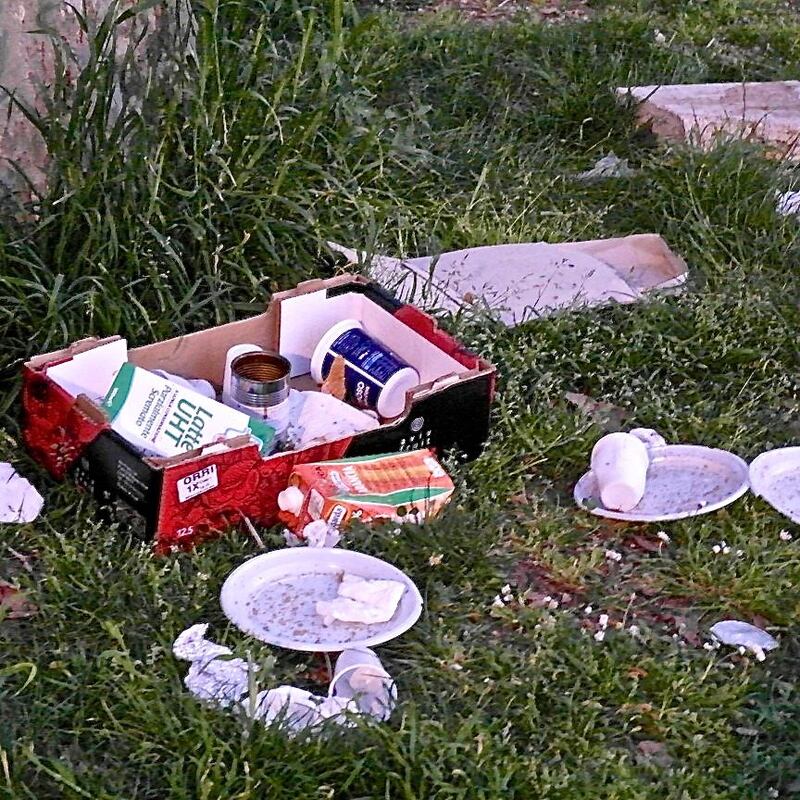 Risse e degrado: l’area giochi di Colle Oppio 12