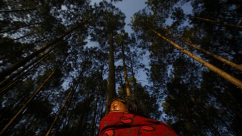 Nepal, una cerimonia religiosa lungo un mese 6