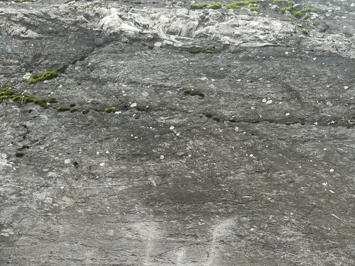 Una Valtellina inedita, quella delle incisioni rupestri