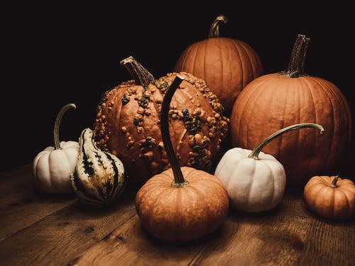 Zucca in autunno, i benefici e le ricette per i nipoti