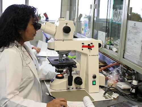 Leucemia mieloide acuta, identificate nuove strategie molecolari