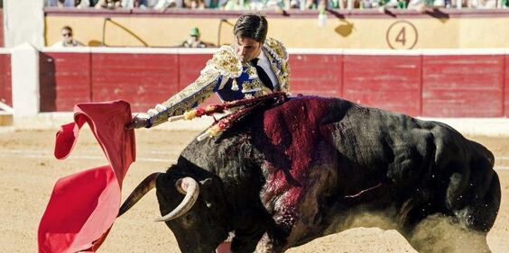 Toro incorna il matador 2