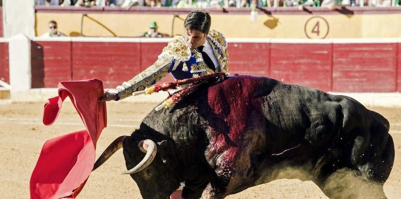 Toro incorna il matador 2