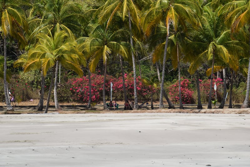 Costa Rica: il paese più felice al mondo 7