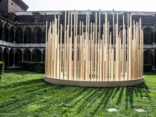 Sorge una "Radura" tra i Cortili della Statale