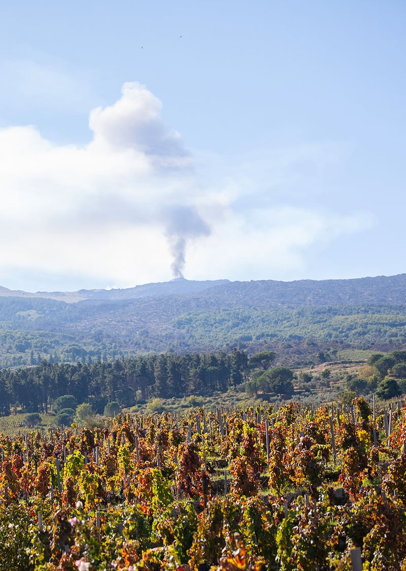 Palmento Costanzo, le vigne e Etna attivo