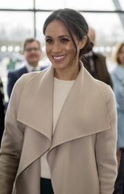 Meghan Markle e il Principe Harry pronti alle nozze 20
