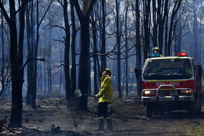 L'Australia minacciata dagli incendi: è emergenza 13