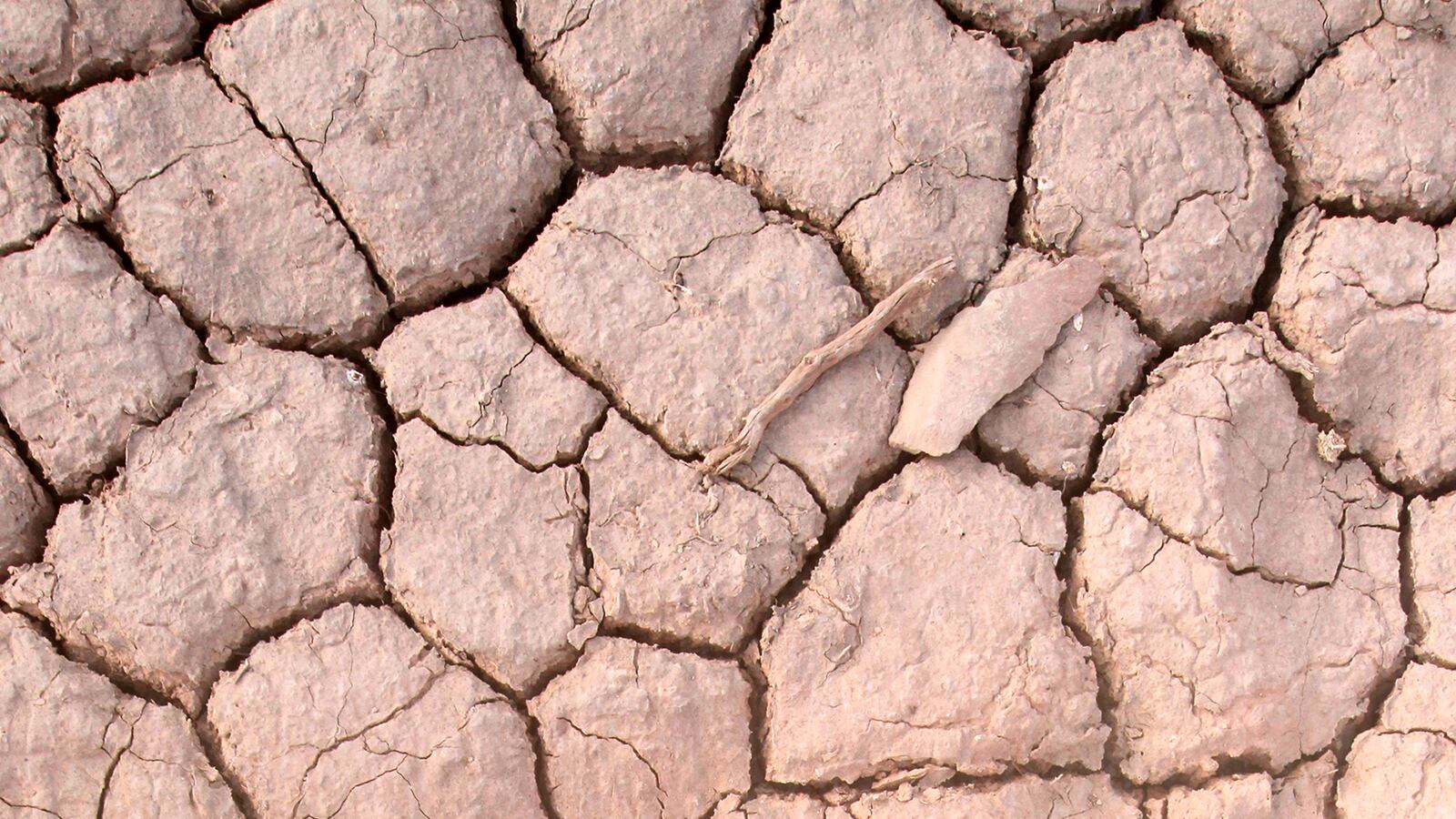 Il ritorno del Niño. Inizia un anno di fenomeni estremi. "Mai così caldo"