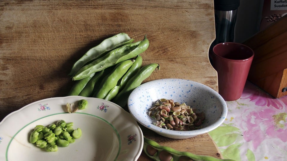 Fave fresche: fonte preziosa di fibre e vitamine