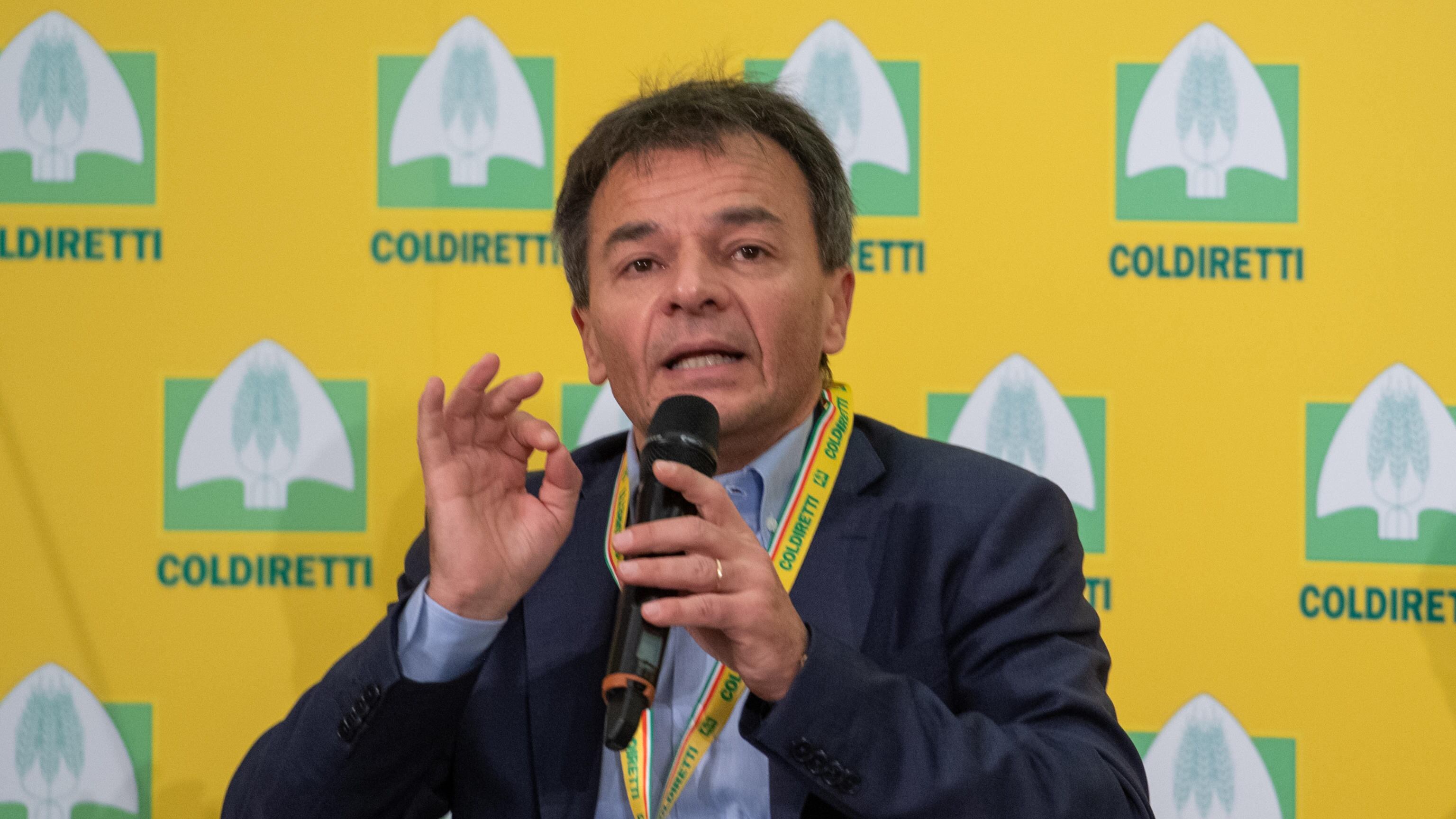 Fassina difende Rampelli: "Giusta tutela dell'italiano"