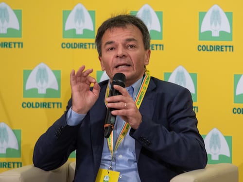 Fassina difende Rampelli: "Giusta tutela dell'italiano"