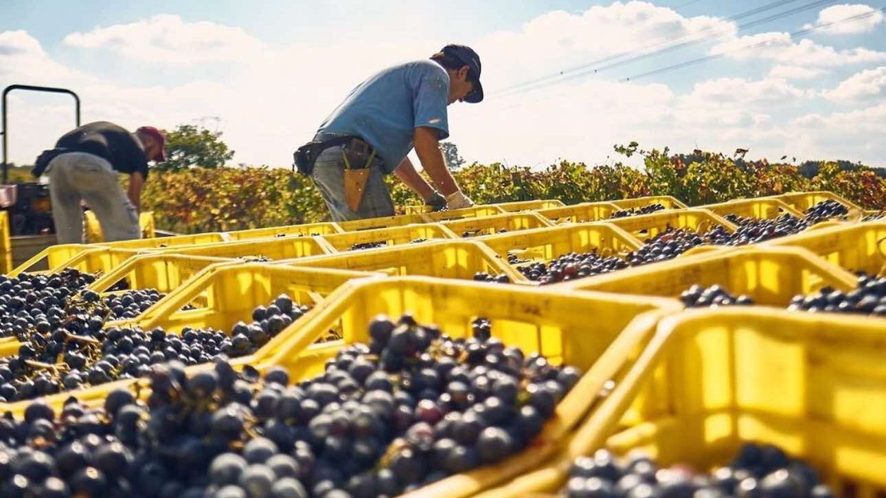 Amalberga, la riscoperta di Ostuni