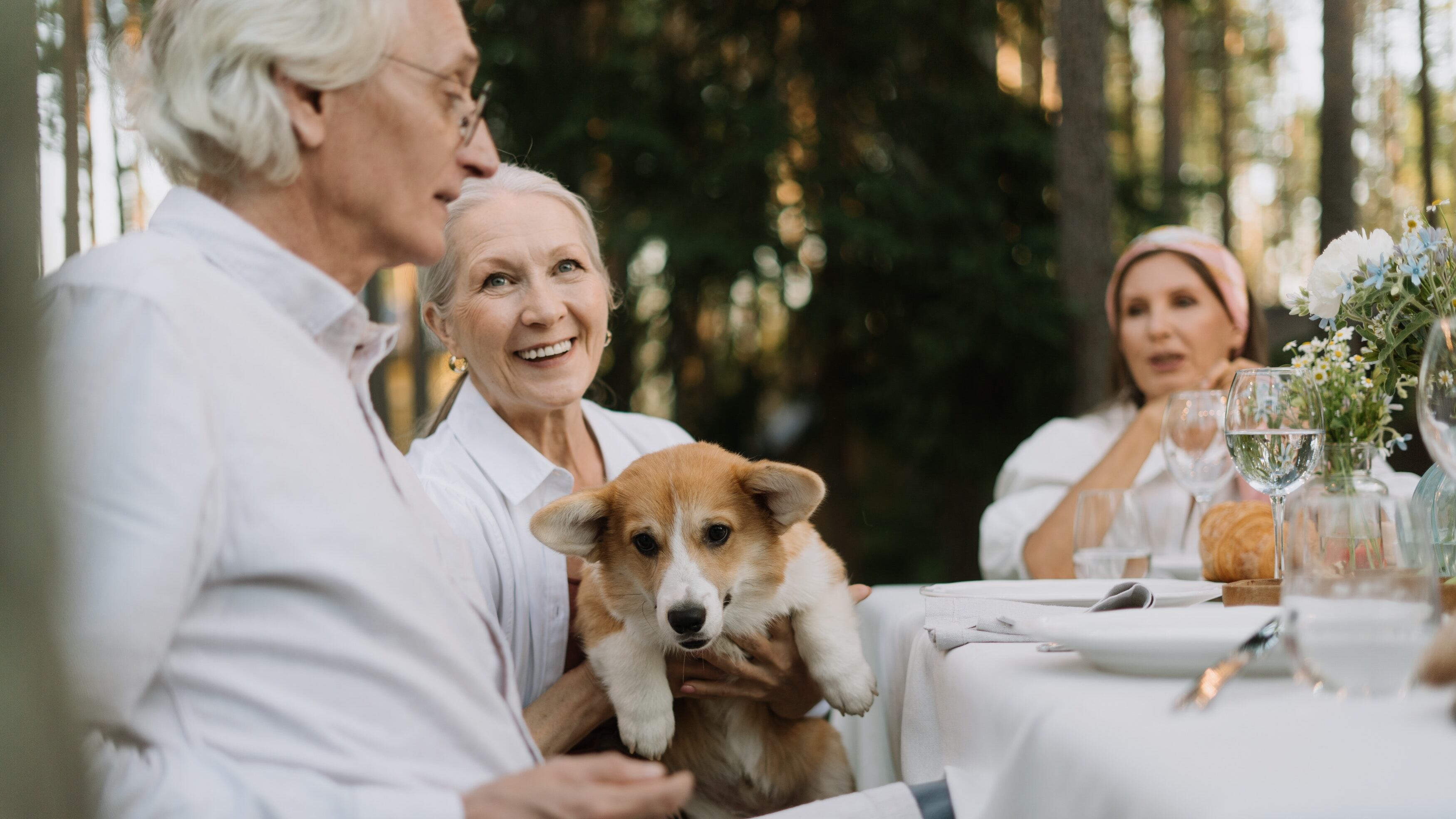 Animali per over 60: i 5 migliori da accudire