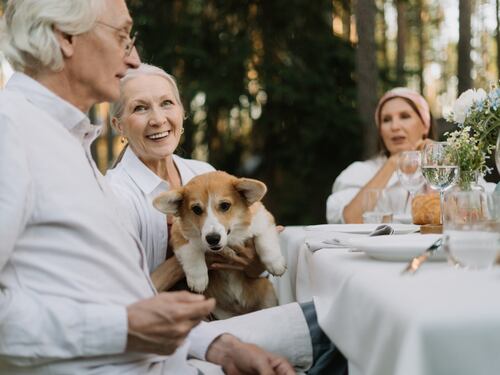 Animali per over 60: i 5 migliori da accudire