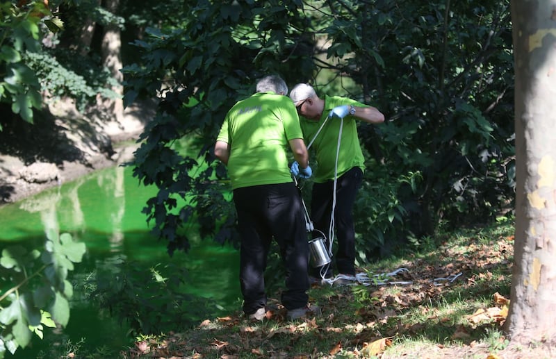 Il Lambro si colora di verde 4