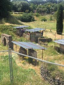 Degrado a Pompei, i turisti fanno pipì agli scavi 1