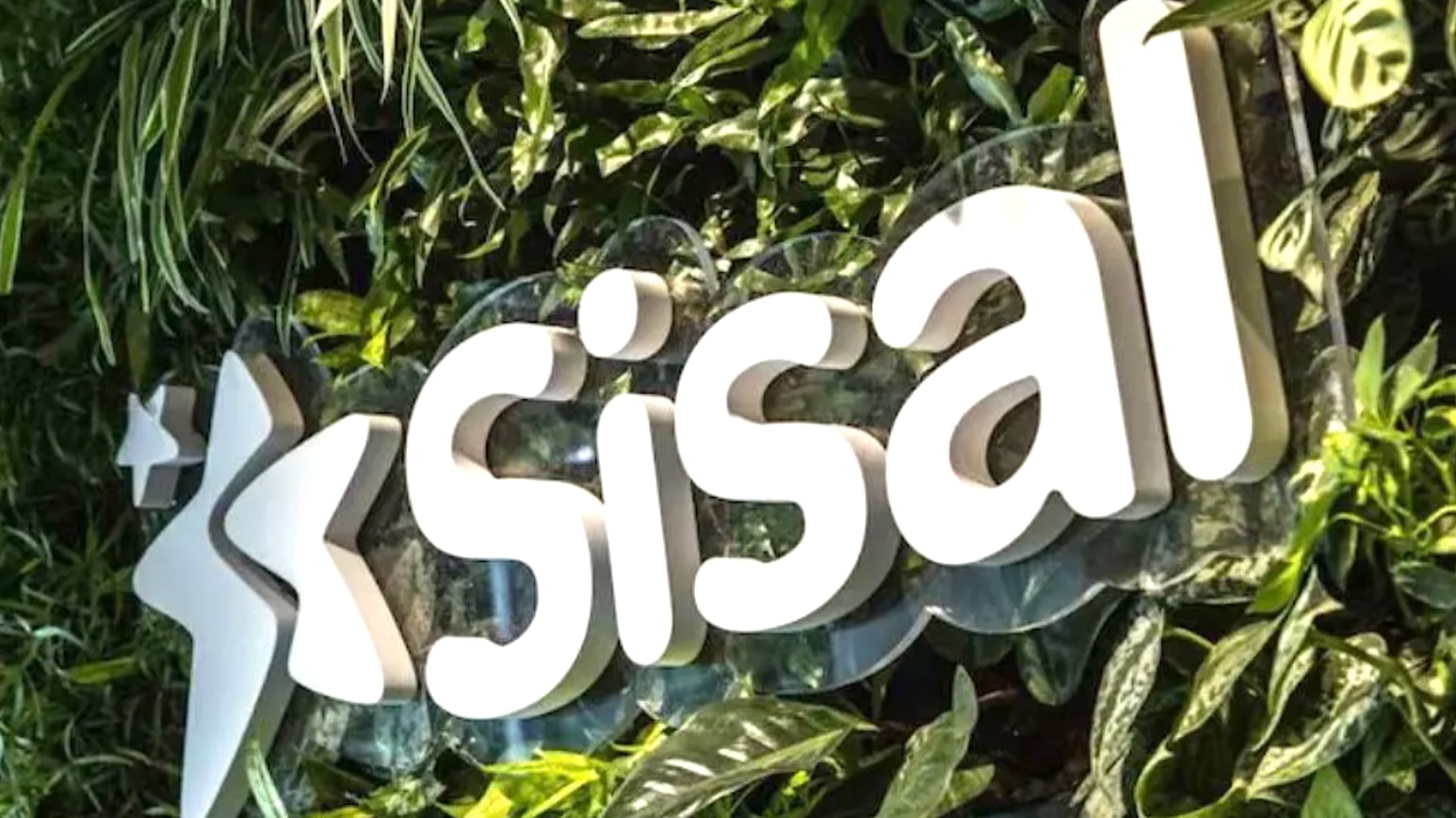 sisal
