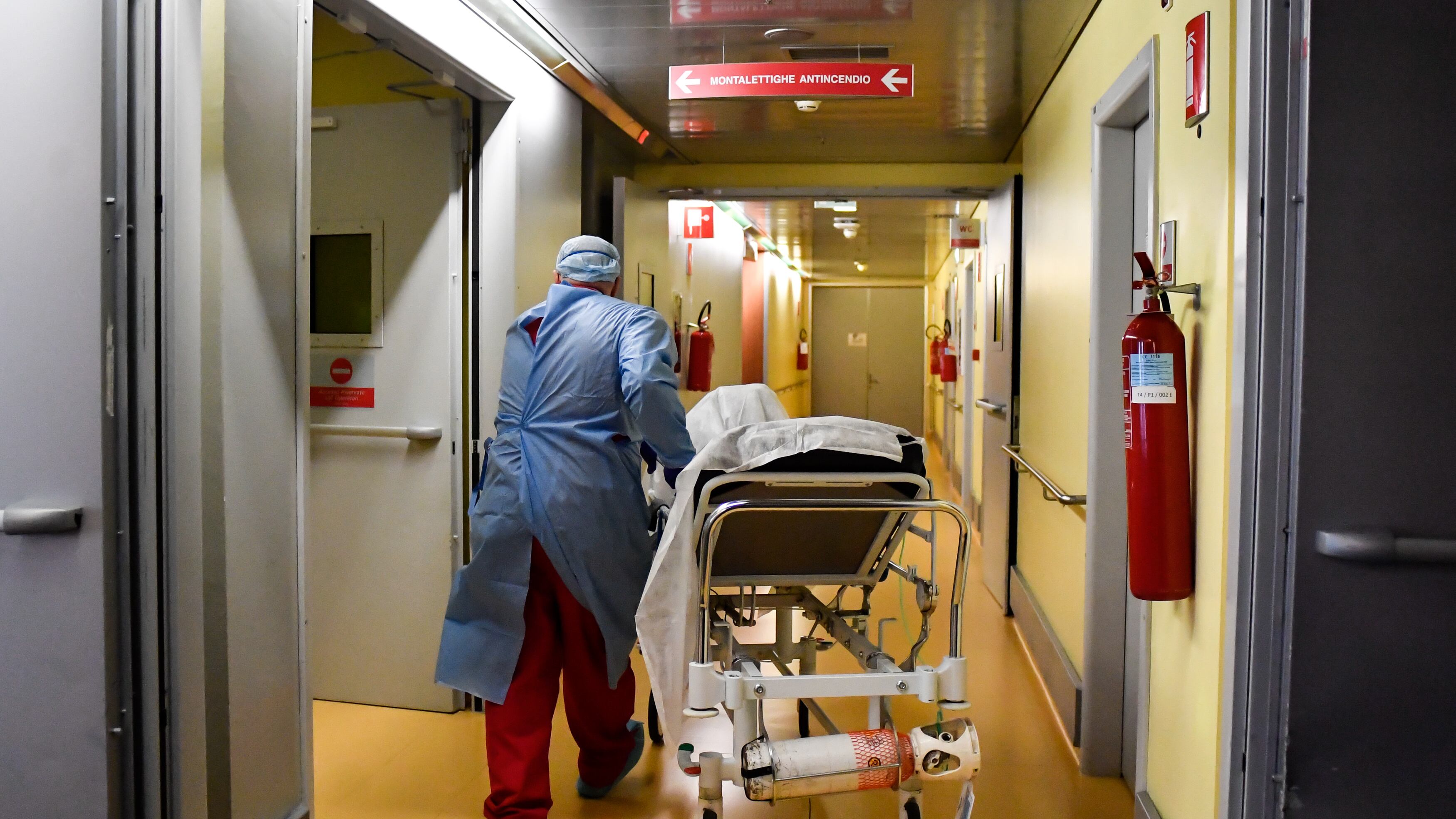 Un topo morto nel cibo in ospedale: "Forse un blitz dei no vax"