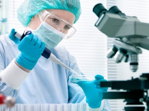 Il farmaco antivirale remdesivir funziona: efficaci i primi risultati sui macachi