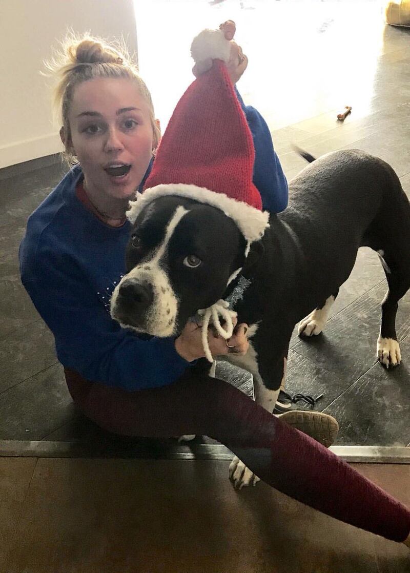 Miley Cyrus, le foto della cantante 2