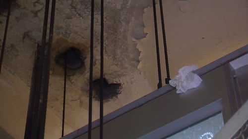 Il degrado nelle case popolari di Napoli 6