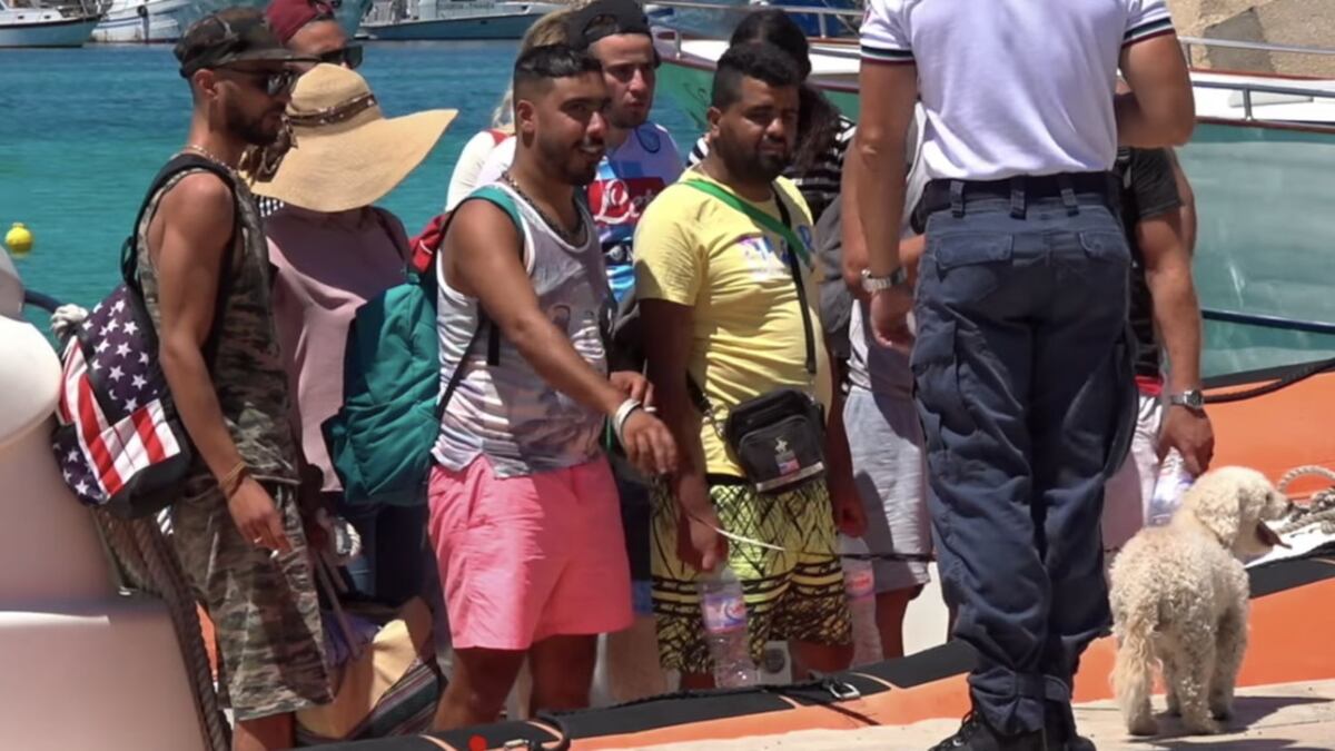 L'ultima degli scafisti: le finte crociere