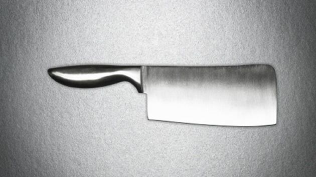 Madre severa gli uccide il cane, 13enne la massacra con una mannaia