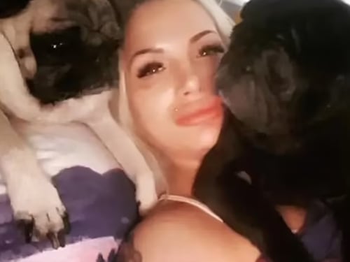 L'orrore su una 34enne: divorata dai sui carlini