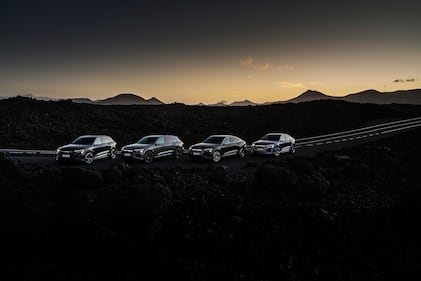 Le immagini della nuova Audi Q8 e-tron 1