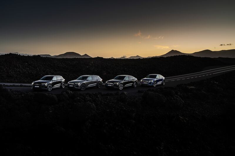 Le immagini della nuova Audi Q8 e-tron 1