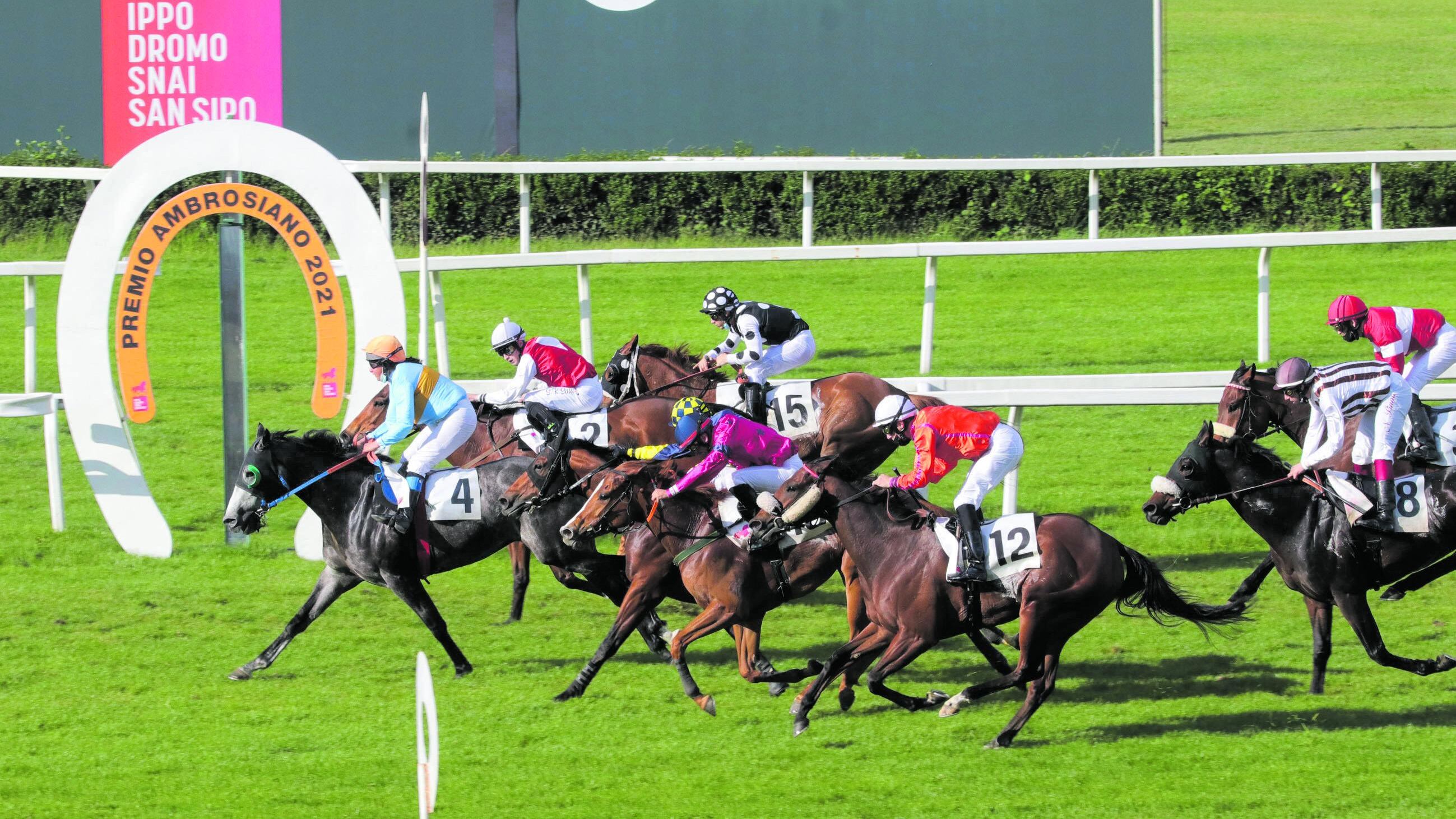 Ippica, il Gran Premio del Jockey club e grande festa di Halloween per i bimbi