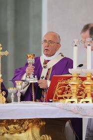 Napoli in festa per Francesco 8