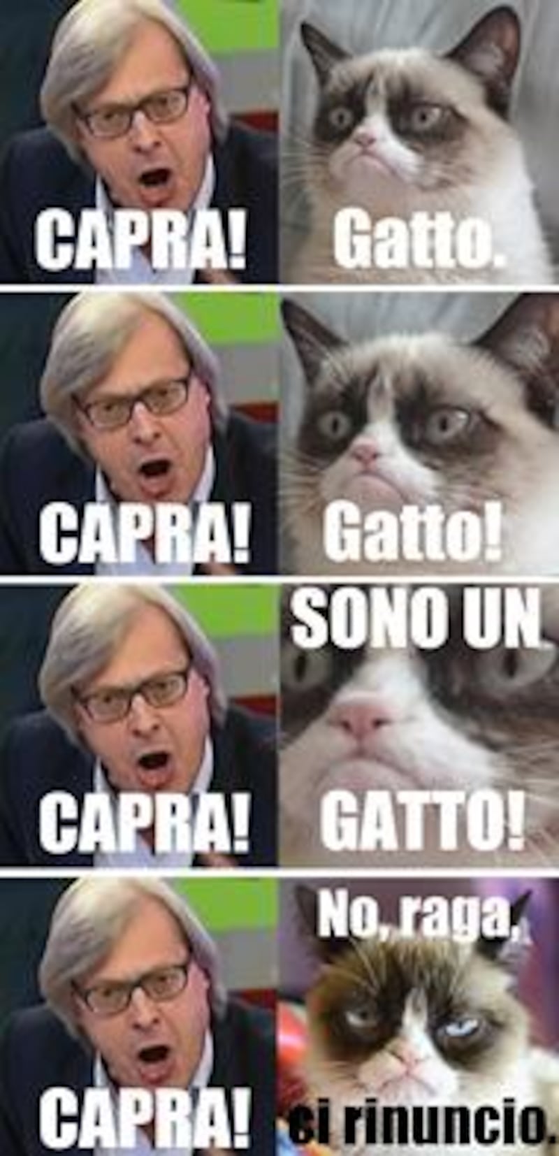 Vittorio Sgarbi invaso da immagini di gatti 1