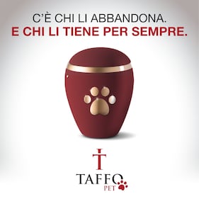 Le pubblicità di Taffo più famose 5