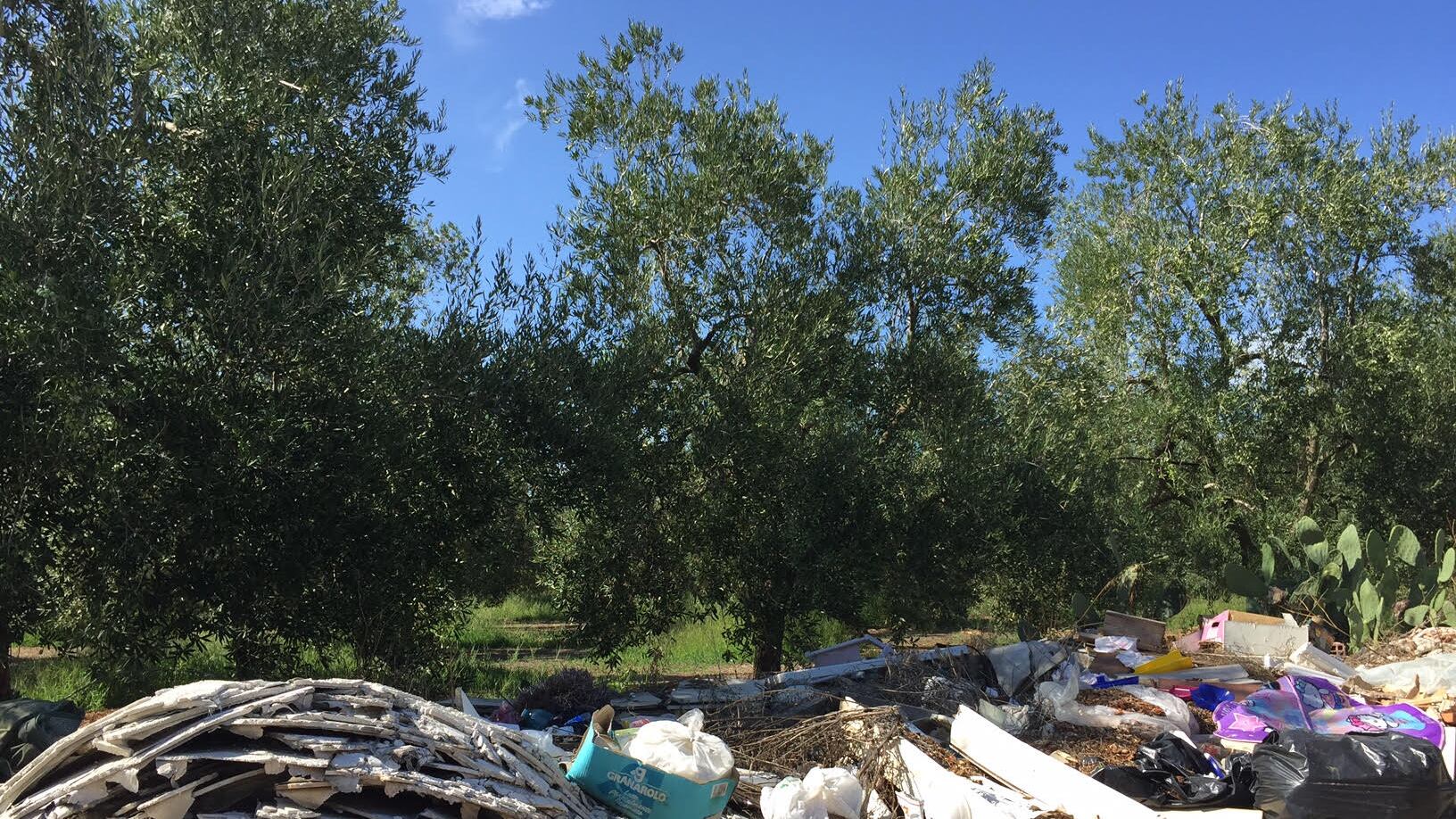 Bitonto, le discariche tra gli ulivi