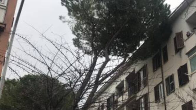 Roma, va fuori nel weekend e trova la casa occupata