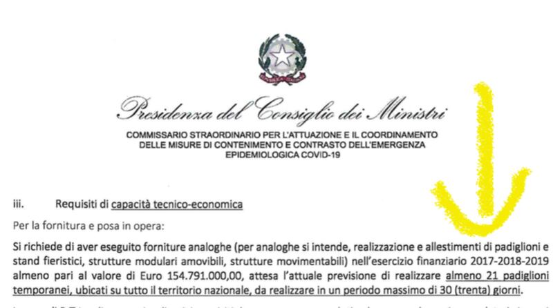 bando primule 2